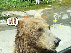 -西安秦岭野生动物园