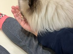 -三花喵·撸猫购宠·宠物生活馆(虹桥南丰城店)