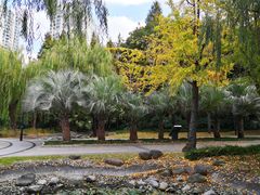 -苏州河梦清园环保主题公园