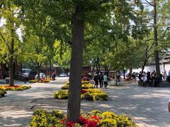 -北京国子监胡同
