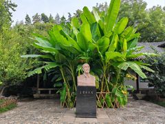 -趵突泉景区