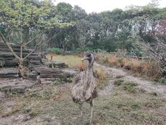 -宁波野生动物园
