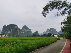 -明仕田园