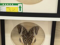 -深圳龙华星河COCO City(民治店)
