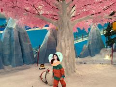 -长沙湘江欢乐雪域