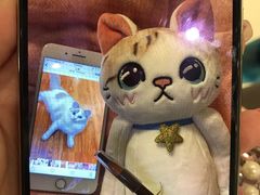 -藏猫猫咖啡主题馆(中央大道店)