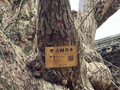 -无锡惠山寺