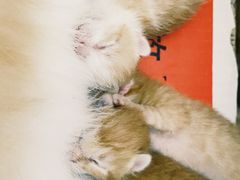 -隹木咖啡馆(宝龙广场店)