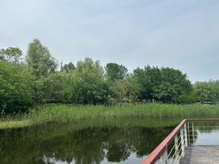-同里国家湿地公园