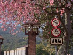 -风云岭森林公园