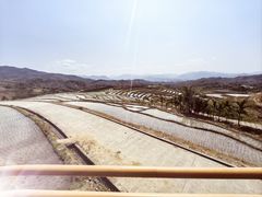 -牙胡梯田景区