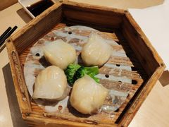 -避风塘(嘉兴八佰伴店)