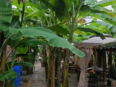 -小懒人火盆小香猪