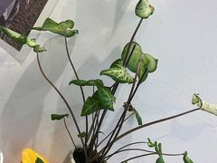 -宝丽金大酒店·洗浴中心