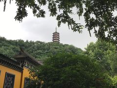 -焦山风景区