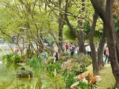 -人民公园(罗湖区)