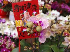 -天河体育中心