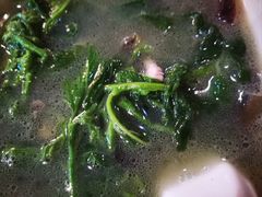 -竹庄餐馆·26年店(南昆山景区店)