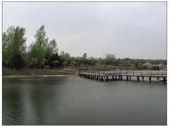 -沈阳植物园
