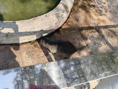 -苏州太湖西山岛开心农场