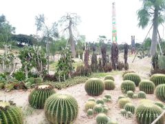 -东莞植物园