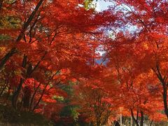 -崂山九水游览区