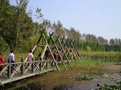 -溱湖国家湿地公园