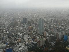-东京都厅舍