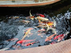 -侠成水上农庄(工业大道店)