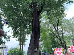-听香·678茶铺(猛追湾店)