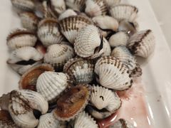 -华盛丰温州大排档(东三环南路店)