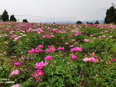 -金堂县云顶石城风景区