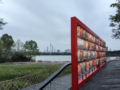 -海珠湖公园