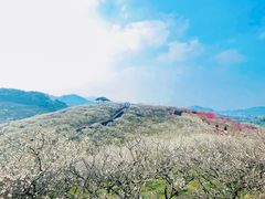 -原乡小镇度假乐园