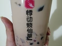 -悸动(吴泾宝龙广场店)