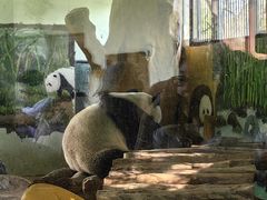 -南昌动物园