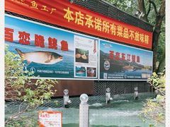 -天怡·鱼工厂(梅溪湖店)