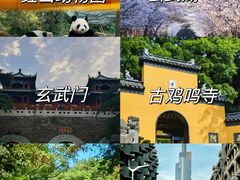 -南京博物院