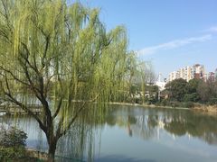 -新江湾城公园