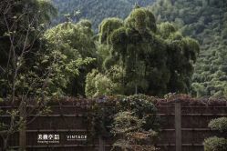 点击看大图 -美薇亭婚礼顾问