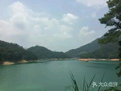 -广州市流溪河国家森林公园