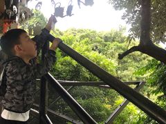 -海南槟榔谷黎苗文化旅游区