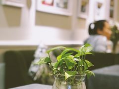 -燕庭·纯燕窝·甜品下午茶(日月光店)