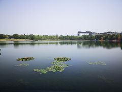 -水月周庄铂尔曼酒店-水月荟中餐厅