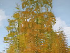 -白鹭湾湿地公园