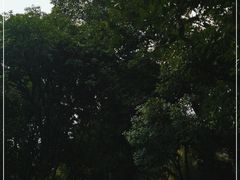 -望江楼公园