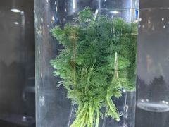 -四川大学博物馆