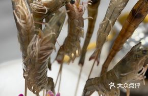 Special Price Sea Shrimp