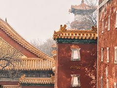 -颐和园