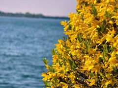 -沈阳辉山风景区